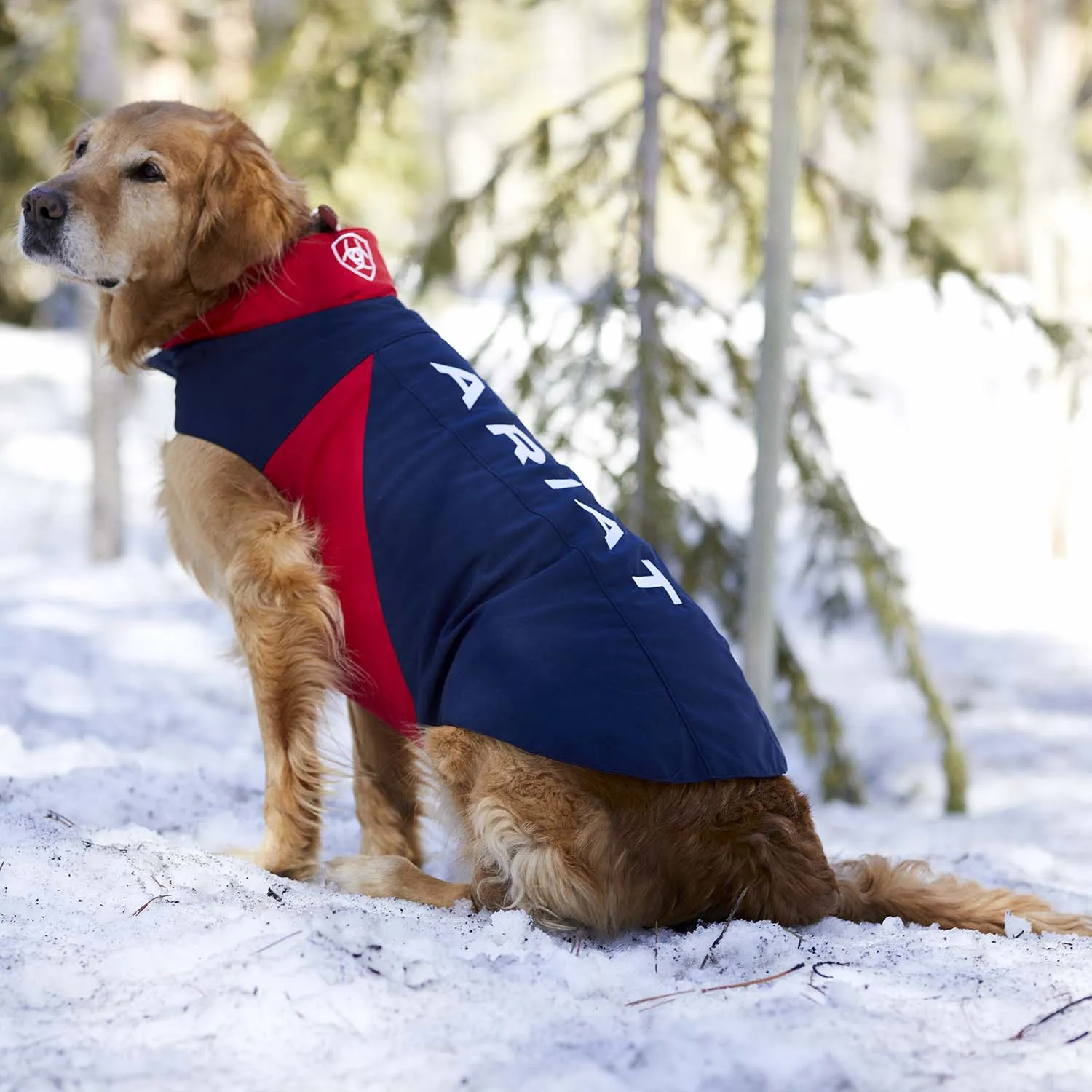 Ariat Team Softshell Dog Jacket, Navy/Red, Large