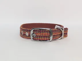 Harris Tweed Bright and Bold Buckle Dog Collar