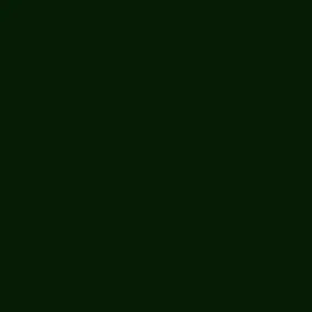 OnPoint Polycarbonate Paint (Dark Green)