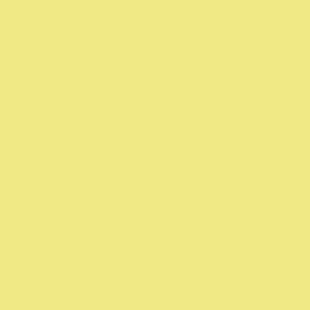 OnPoint Polycarbonate Paint (Light Yellow)