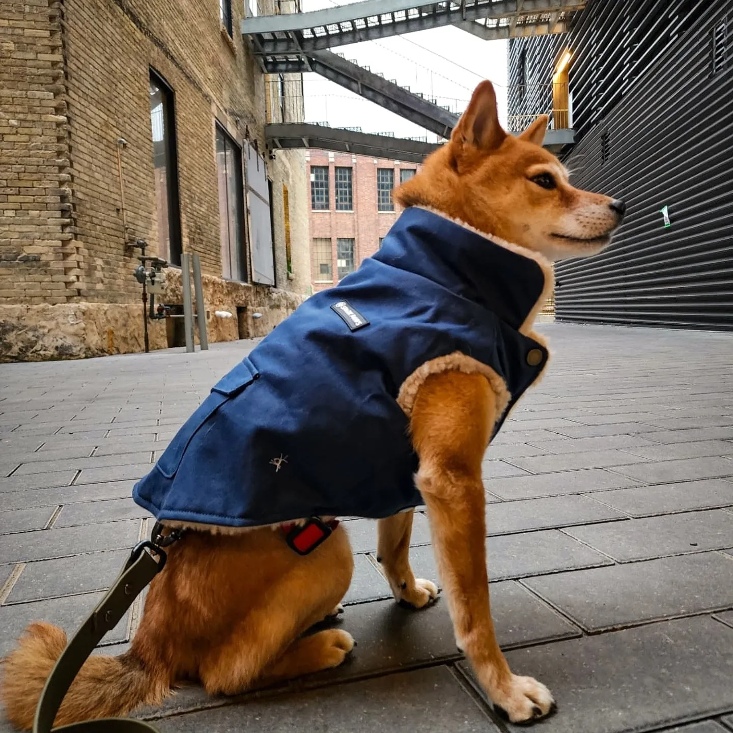 Workdog Insulated Utility Jacket Jackets